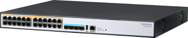 C3100-24PL